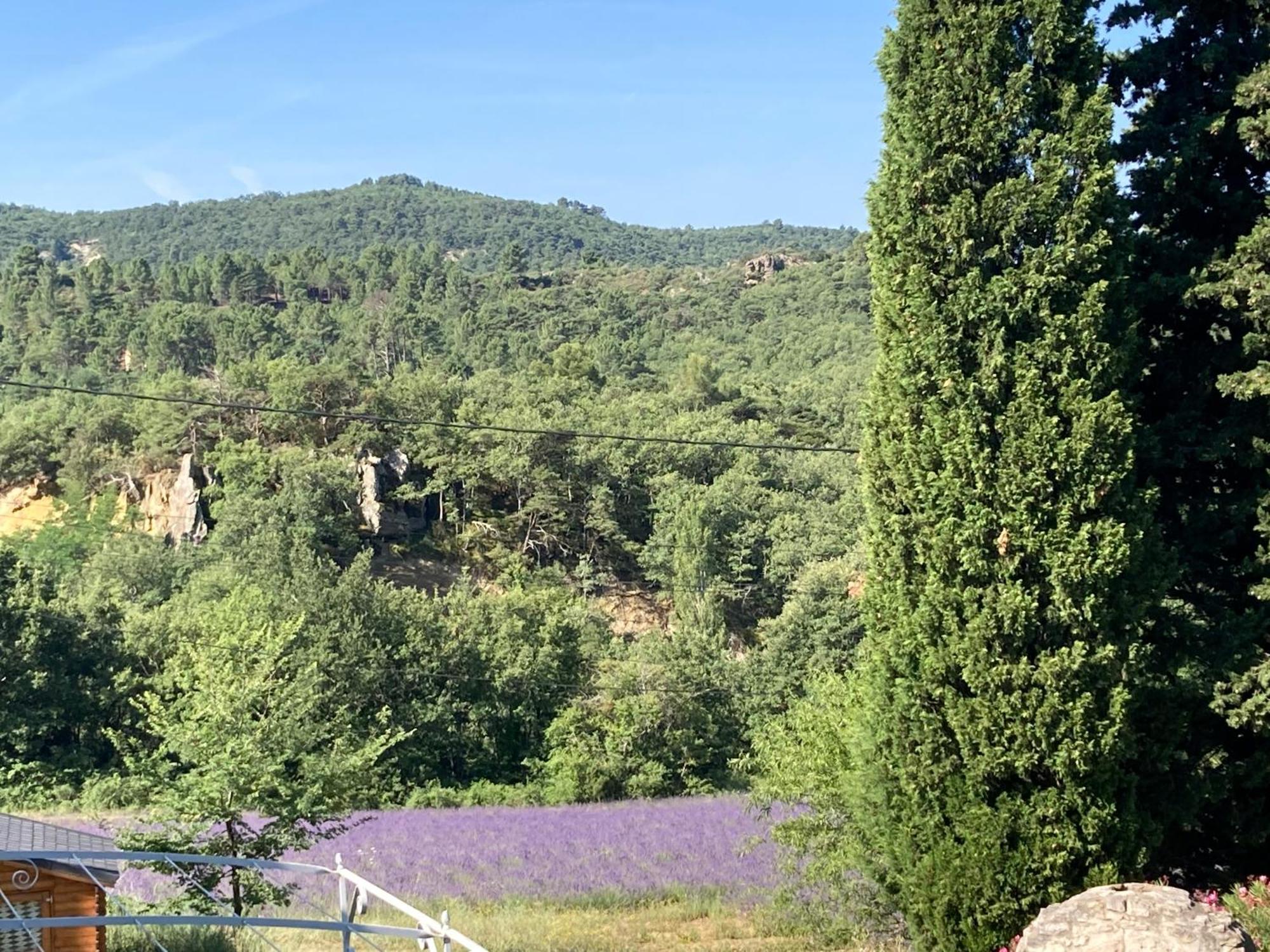 Maison Au Colorado Provencal Villa Rustrel Exterior foto